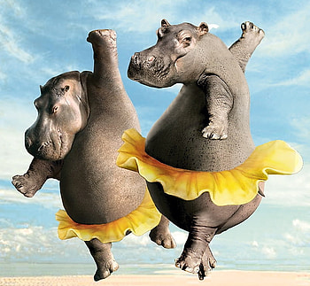 Too much Tequila, abstract, 3d, art, hippo, hot, tequila, witch HD wallpaper