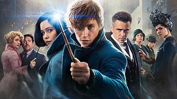 Fantastic Beasts, Eddie Redmayne, Best movies, Katherine Waterston HD wallpaper