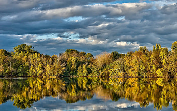 forest lake, fun, cool, nature, forest, lake HD wallpaper