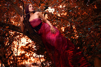 In red, girl, model, tree, red HD wallpaper