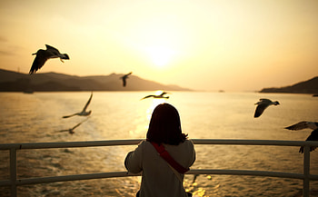 Landscape, Sunset, Sun, Seagulls, Swimming, Miscellanea, Miscellaneous, Girl, Ship HD wallpaper