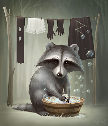 Art, Nice, Sweetheart, Raccoon HD phone wallpaper