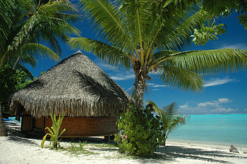 Bungalow, Tahiti HD wallpaper