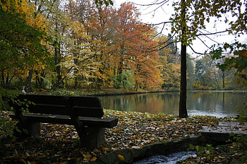 Nature, Trees, Autumn, Lake, Forest, Leaf Fall, Fall, Bench, Creek, Brook HD wallpaper