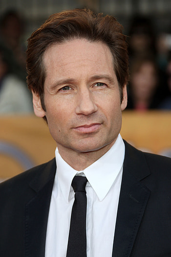 David Duchovny, Movies, Celebrity HQ HD phone wallpaper