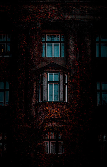 Windows, Leaves, Building, Dark, Facade HD phone wallpaper