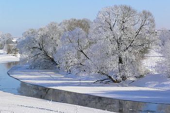 Winter, Nature, Rivers, Trees, Sky, Frost, Hoarfrost, Gray Hair, Shadows HD wallpaper