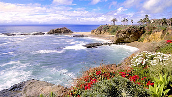 Nature, Flowers, Sea, Waves, Shore, Bank, Multicolored HD wallpaper