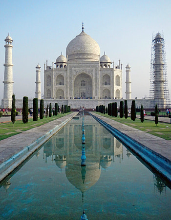 Taj Mahal, Crow flies to Agra, Mughal emperor's tribute, Architectural grandeur HD phone wallpaper