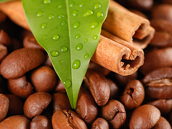 Food, Leaves, Drops, Coffee, Cinnamon HD wallpaper
