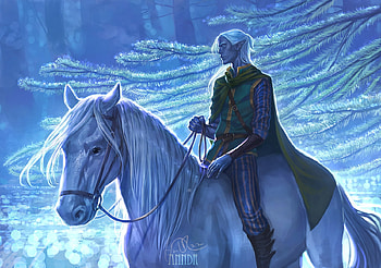 Winter night, cal, elf, blue, night, winter, white, horse, pazyniuk, art, man, fantasy, anndr HD wallpaper
