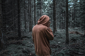 Miscellanea, Miscellaneous, Forest, Stroll, Human, Person, Hoody, Sweatshirt HD wallpaper