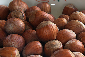 Hazelnut, comestible, graphy, fruit, food HD wallpaper