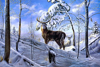 deer in the snow, winter, snow, animals, deer HD wallpaper