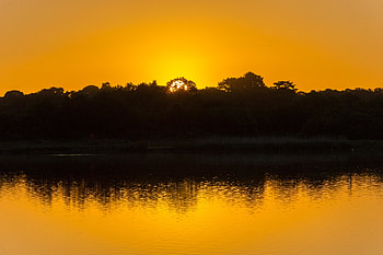 Nature, Trees, Sunset, Sky, Lake, Reflection, Ripples, Ripple HD wallpaper
