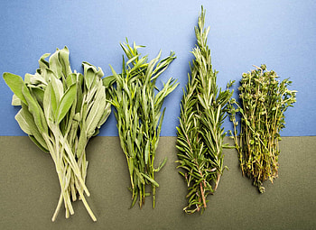Tarragon herb, Tarragon substitutes, Kitchen alternatives, Thehometome HD wallpaper