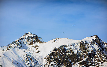 Nature, Birds, Mountains, Snow, Vertex, Top, Height, Caucasus, Dombay, Dombai HD wallpaper