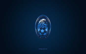 Hapoel Nir Ramat HaSharon FC, Israeli football club, Liga Leumit, blue logo, blue carbon fiber background, football, Ramat HaSharon, Israel, Hapoel Nir Ramat HaSharon FC logo HD wallpaper