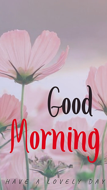 Good Morning, Pink Flowers, Background HD phone wallpaper