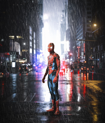 Rain, street, Spider-man, art HD phone wallpaper