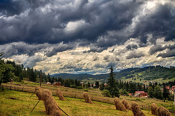 Nature, Grass, Field, Ukraine, Carpathians, Bukovel HD wallpaper