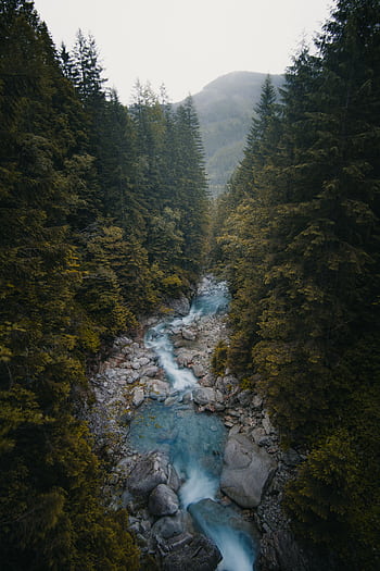 Aerial view of a tranquil river flowing through a dense forest in Zakopane, Poland. HD phone wallpaper