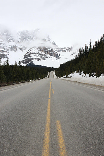 Nature, Mountains, Snow, Road, Forest HD phone wallpaper
