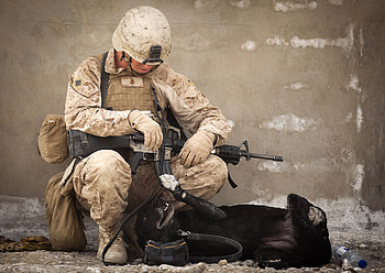 Us Marines 26 - Hive.com HD wallpaper