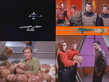 The Trouble With Tribbles, tribbles, baris, star trek, koloth, spock, kirk HD wallpaper