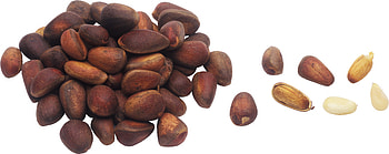 Nutty , Nut-themed backgrounds, , Visual delights HD wallpaper