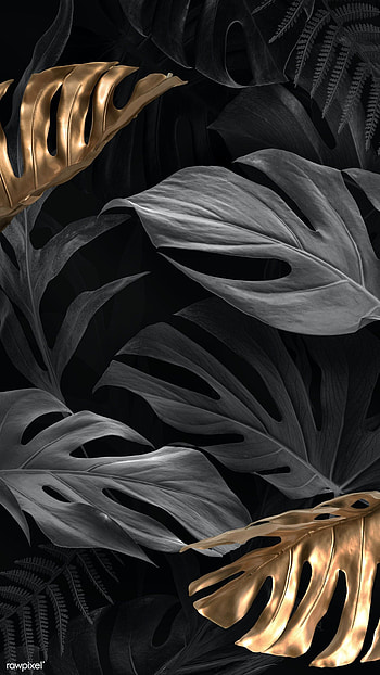 Gold and black Monstera Deliciosa leaves. premium / nunny. Gold background, White and gold , Gold and black background, Black and Gold Aesthetic HD phone wallpaper
