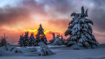 Winter Evening, sunset, snow, trees, colors, clouds, landscape, sky HD wallpaper