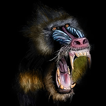 Playful baboon clan, Happy baboon art, African wildlife, Jungle adventure HD phone wallpaper