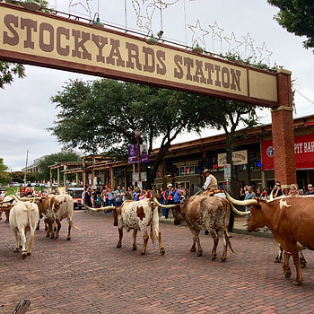 Stockyards Station, Fort Worth HD phone wallpaper