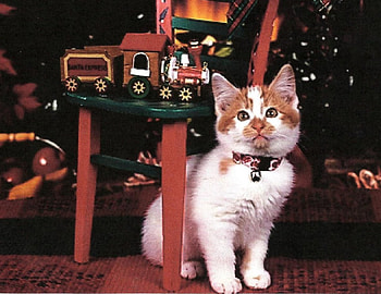 Christmas kitten, chair, toys, toy train, tree HD wallpaper