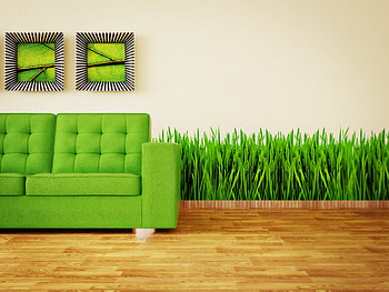 Grass, Interior, Paintings, Miscellanea, Miscellaneous, Greens, Sofa HD wallpaper