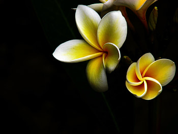 bilder, Nature graphy, Stunning views, Tranquil landscapes HD wallpaper