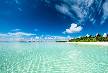 Stunning tropical beach scene in the Maldives with clear waters and blue sky, perfect for a paradise getaway. HD wallpaper