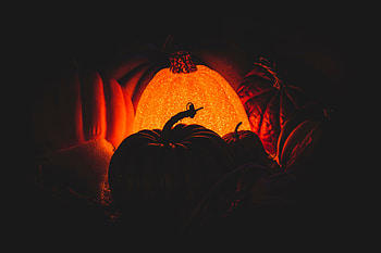 Pumpkin, Dark, Darkness, Glow HD wallpaper