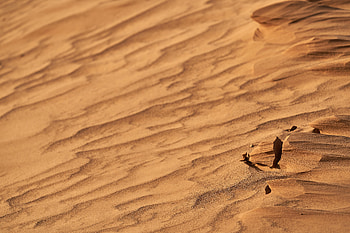 Nature, Sand, Desert, Wavy, Dry HD wallpaper