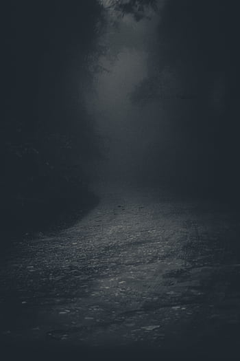 A mysterious and eerie forest pathway shrouded in mist and darkness, perfect for spooky themes. HD phone wallpaper