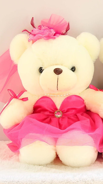 Cute Teddy Bear, Groom, Teddy Bear HD phone wallpaper