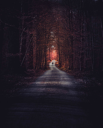 Nature, Autumn, Park, Stroll, Loneliness, Arch HD phone wallpaper