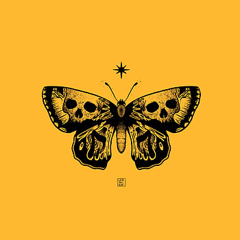 Purple Butterfly HD phone wallpaper