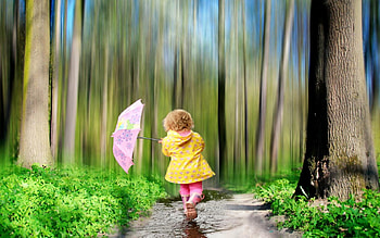Nature, Miscellanea, Miscellaneous, Forest, Umbrella, Child HD wallpaper
