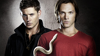 Cinema, People, Actors, Men, Supernatural, Jensen Ackles HD wallpaper