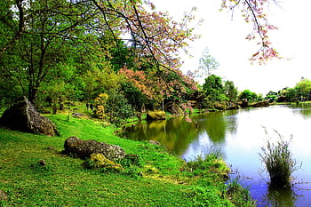 Serene springtime scene of a peaceful park with vibrant greenery and a calm lake. HD wallpaper