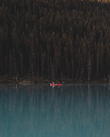 Nature, Trees, Lake, Reflection, Forest, Boat HD phone wallpaper
