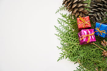Colorful gift boxes and pine cones create a festive Christmas centerpiece with copyspace for text. HD wallpaper