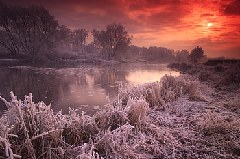 River Avon Great Britain, winter, river, great britain, river avon, snow, , nature HD wallpaper